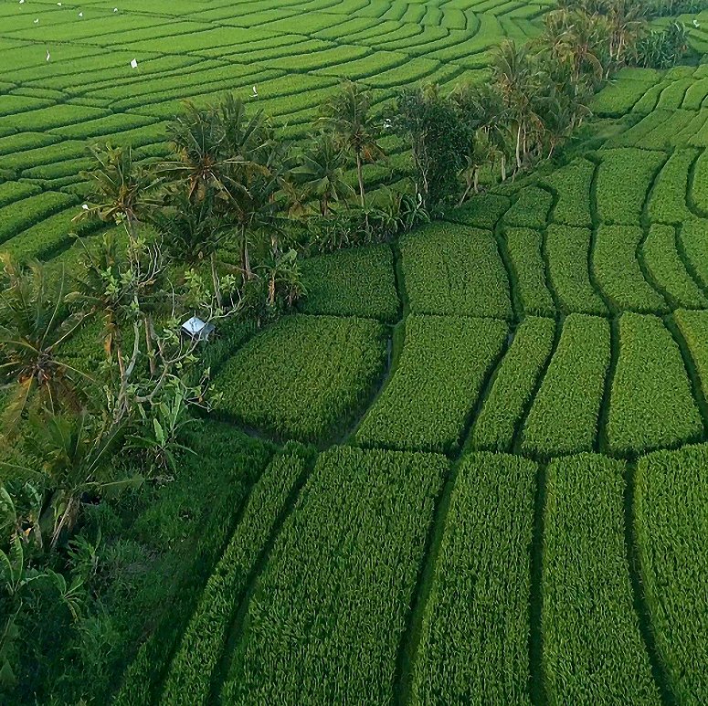 Environmental Solutions